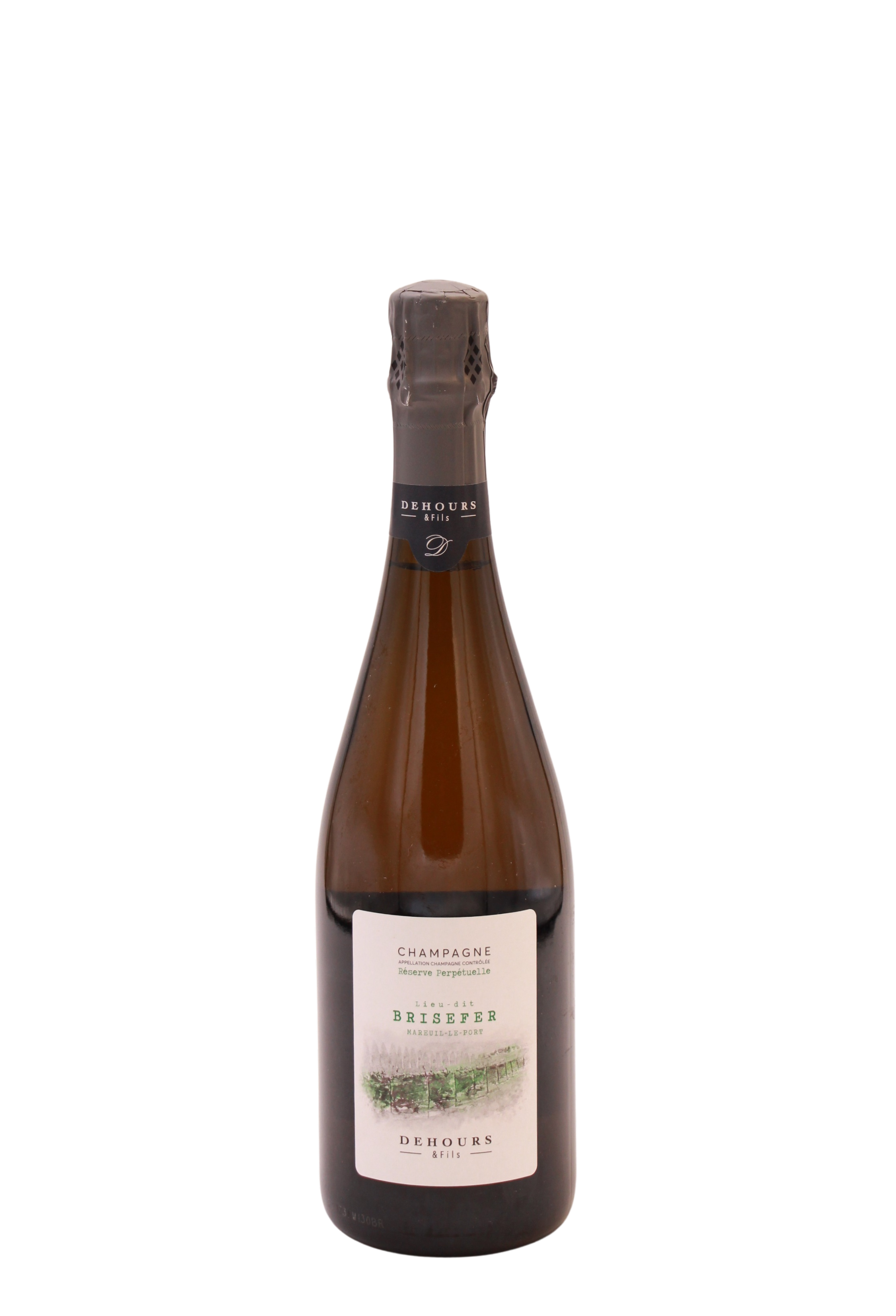 Dehours & Fils Brisefer Lieu-dit Reserve Perpetuelle Extra Brut - LC23