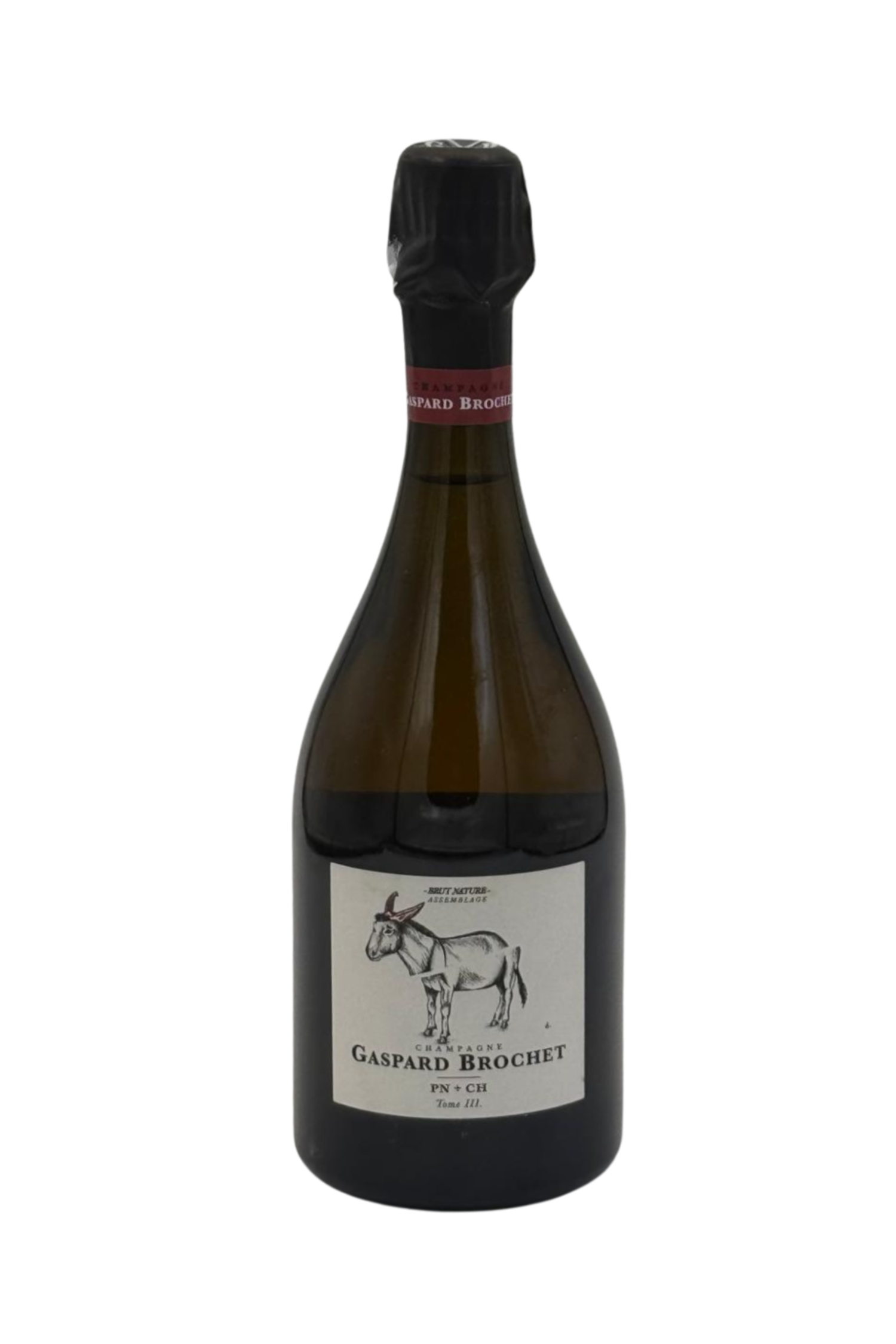 Gaspard Brochet L'Ane Brut Nature Tome III